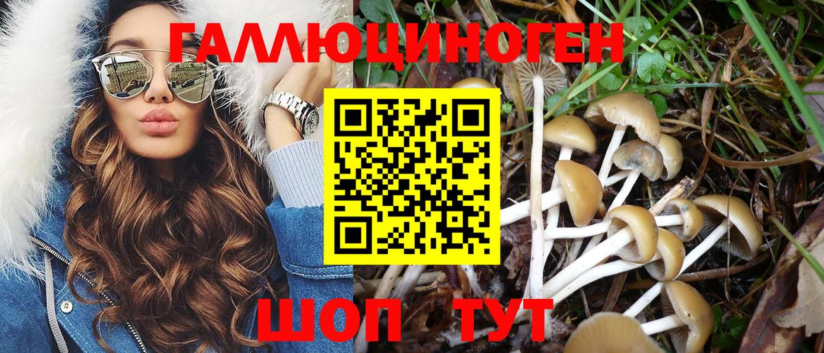 Псилоцибиновые грибы прущие грибы Богородск