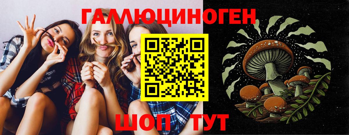 Галлюциногенные грибы ЛСД  Вход с VPN  Богородск  Псилоцибиновые грибы Psilocybe 